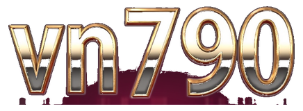 vn790 logo